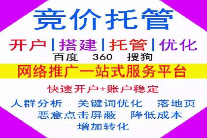 专业SEM托管服务，效果显著的案例展示